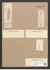 Dimerogramma fulvum var. ? furcigerum Grun. (de-Toni-Nr.: Genus 80, Species 2878) Zeichnungen Sammlung Grunow Nr. 5845 (NHMW-BOT-W0374278)
